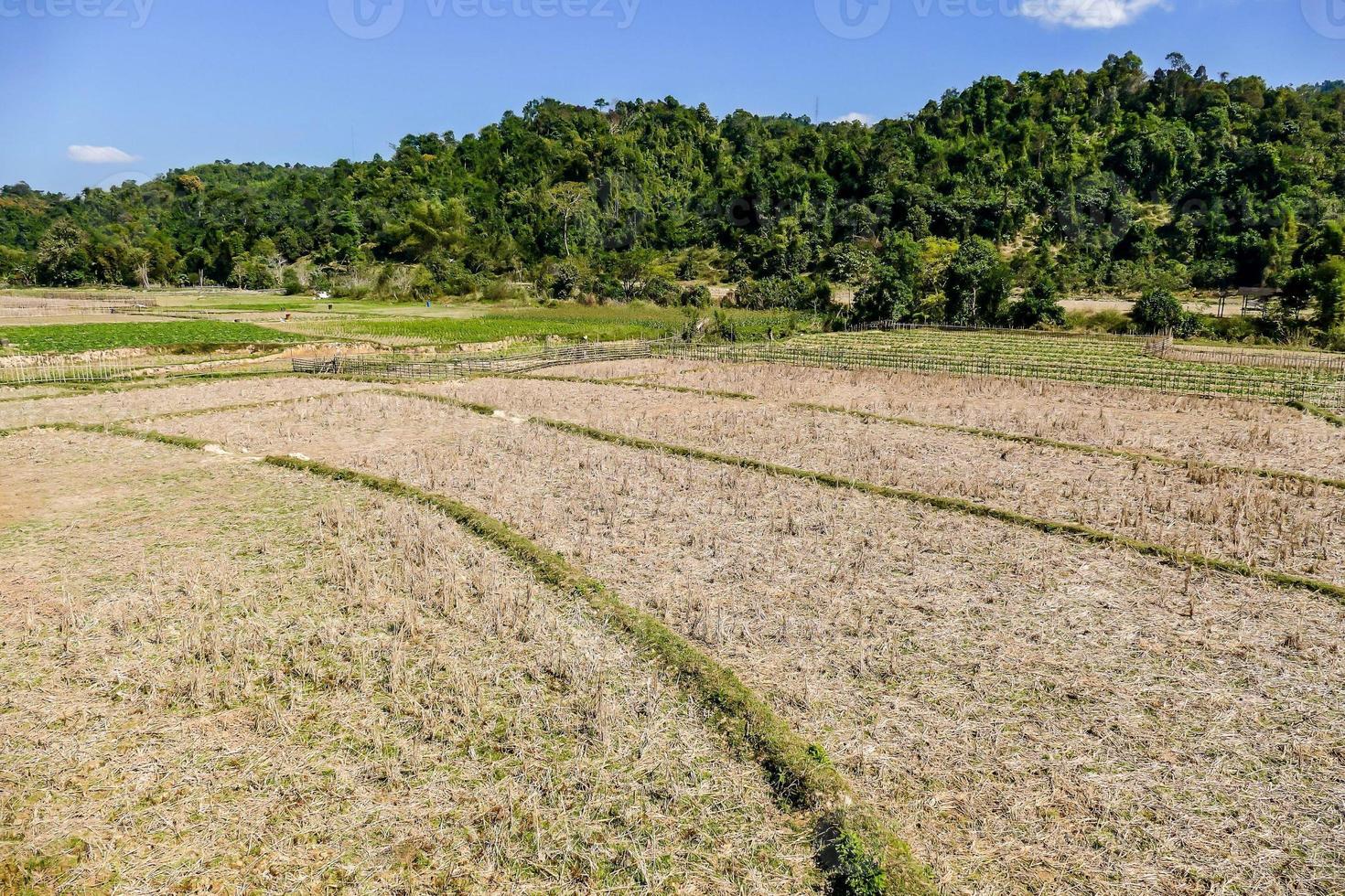 Rural landscape in East Asia photo