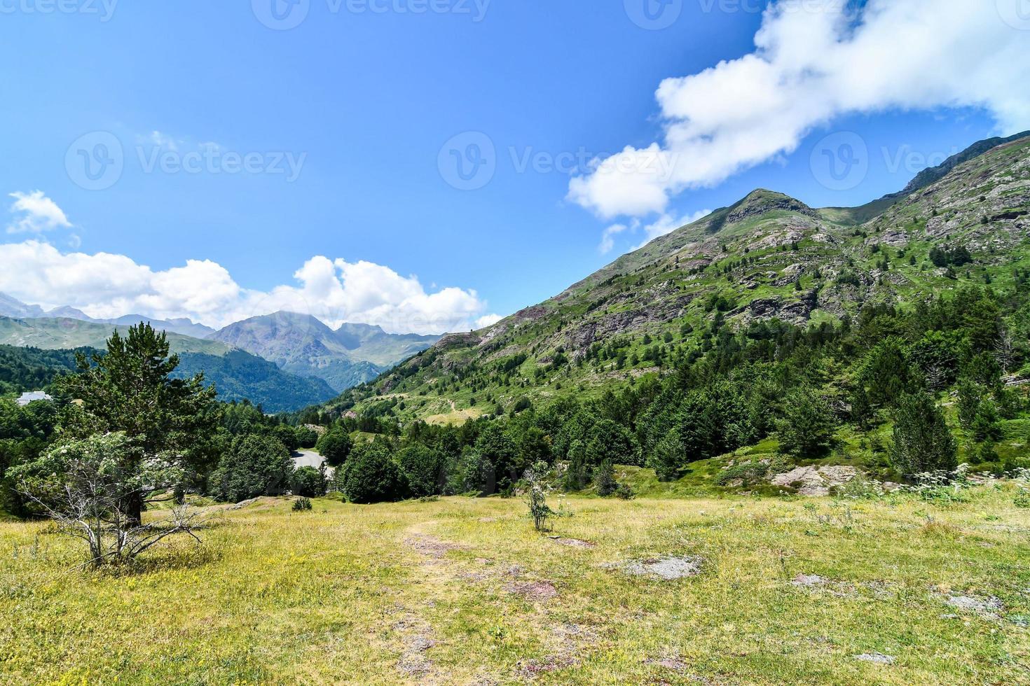 paisaje de montaña en verano foto