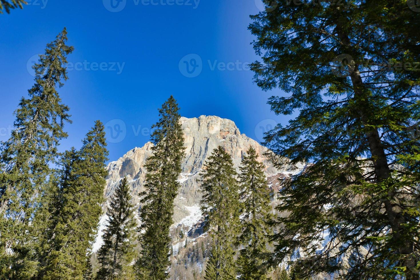 Mountain landscape in the summer photo