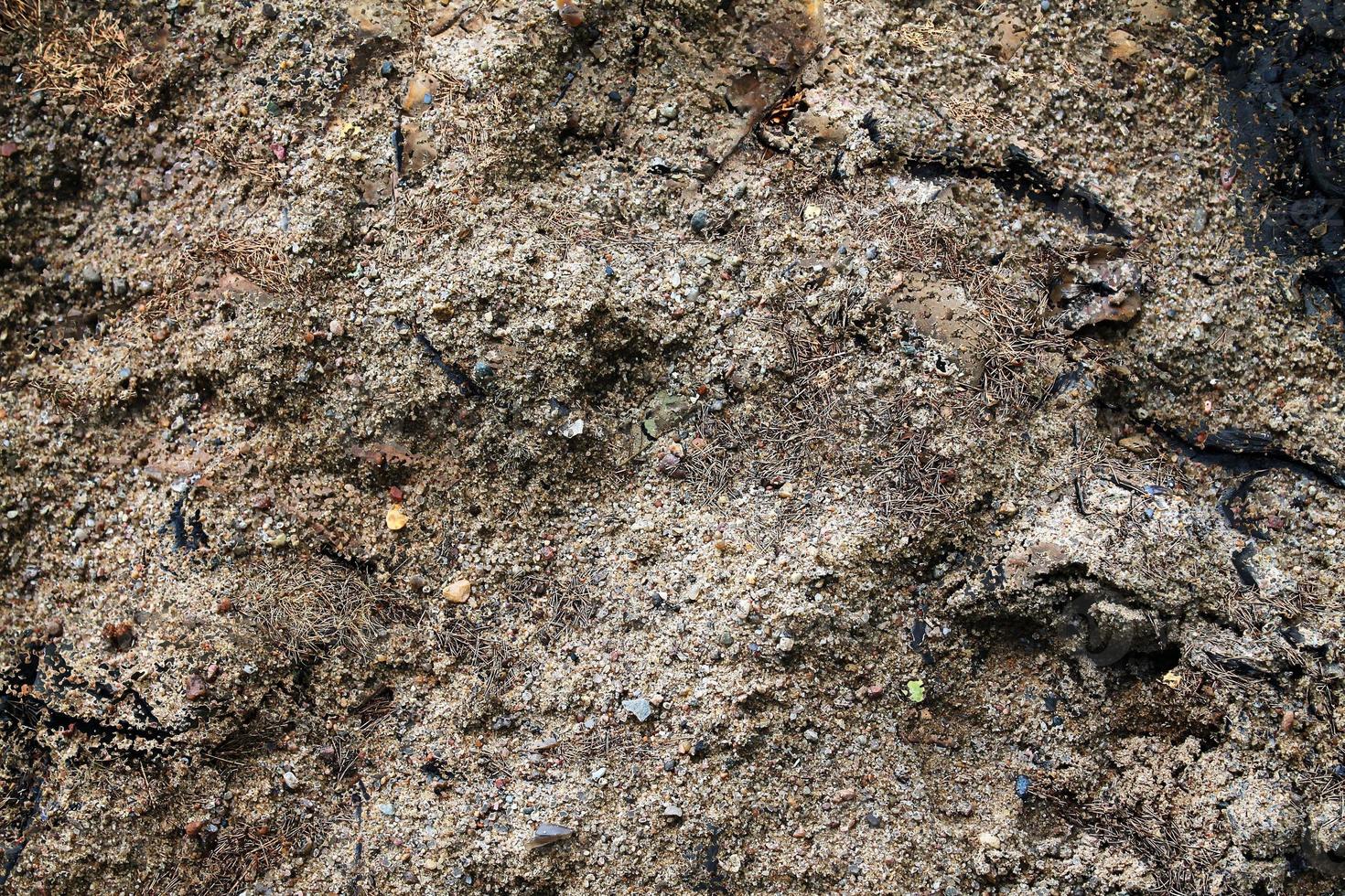 vista de cerca detallada sobre una textura de suelo de arena marrón foto