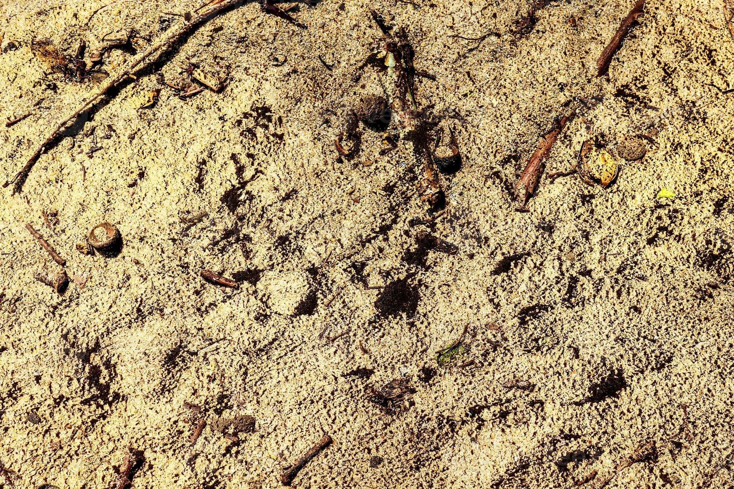 Detailed close up view on a brown sand ground texture photo