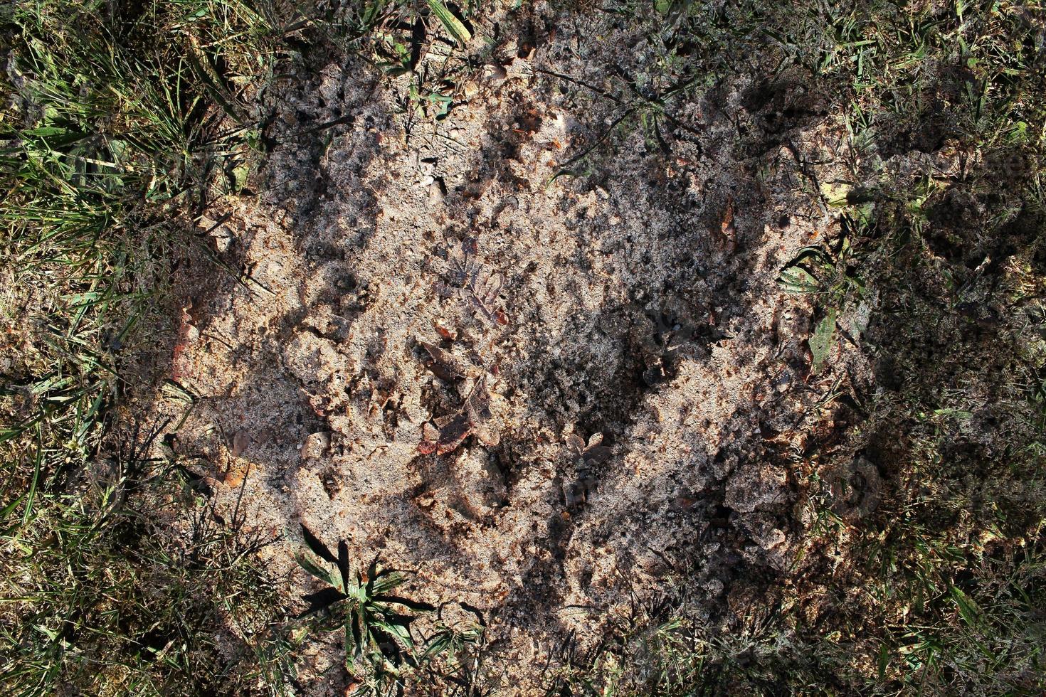 Detailed close up view on a brown sand ground texture photo