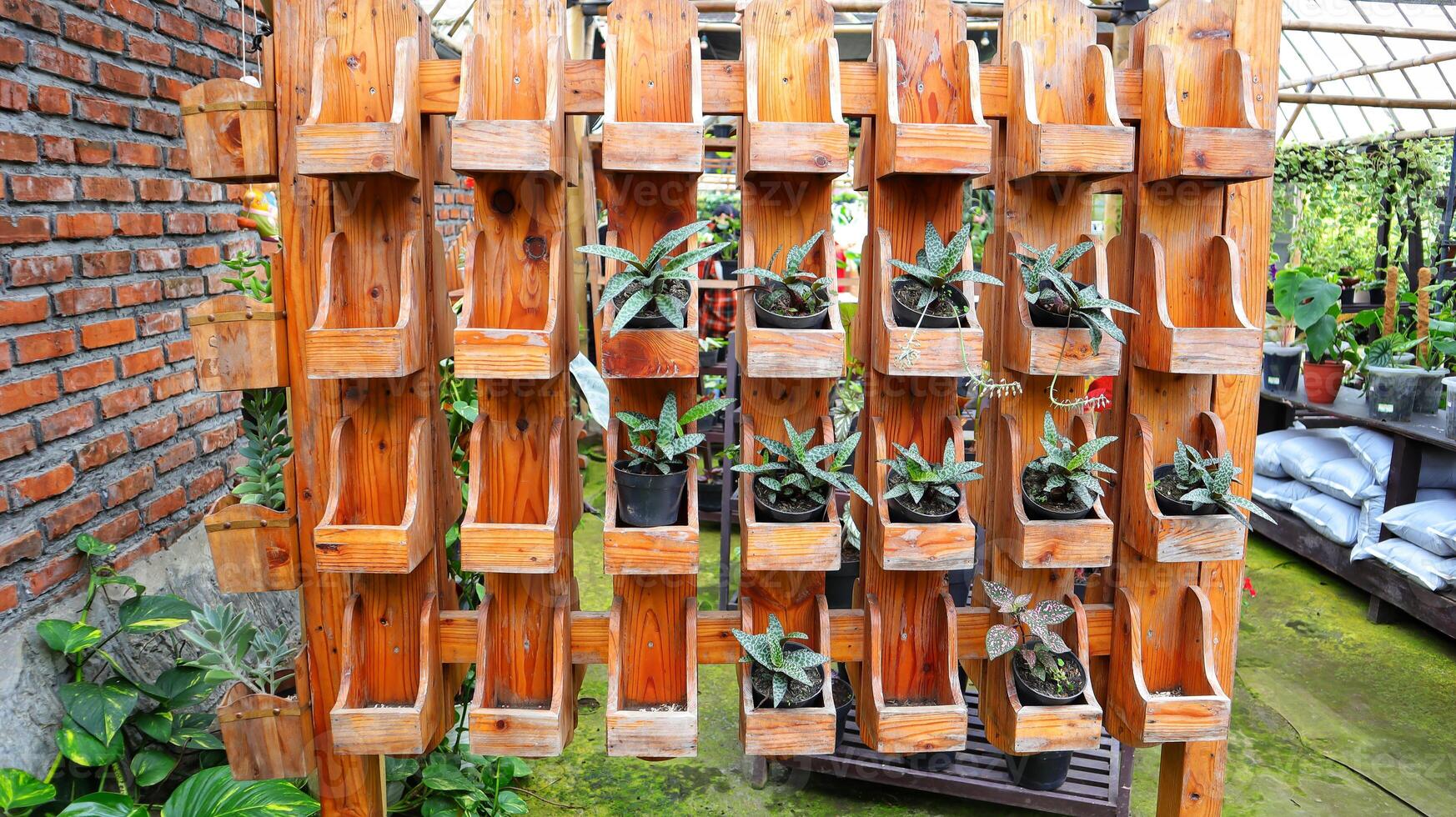 Wooden plant rack with lots of shelves to put your pots outdoors. Vertical garden. photo