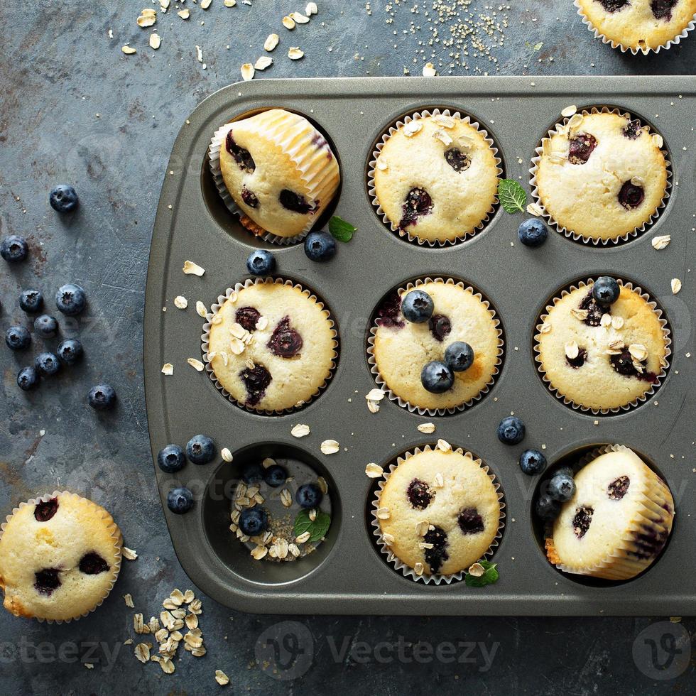 Blueberry muffins in a pan photo