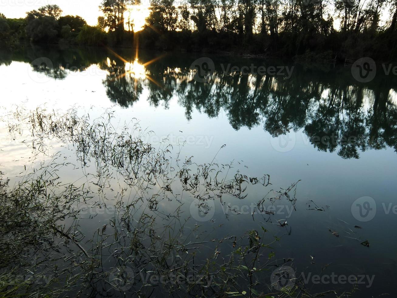 Lake scene with tree reflection photo
