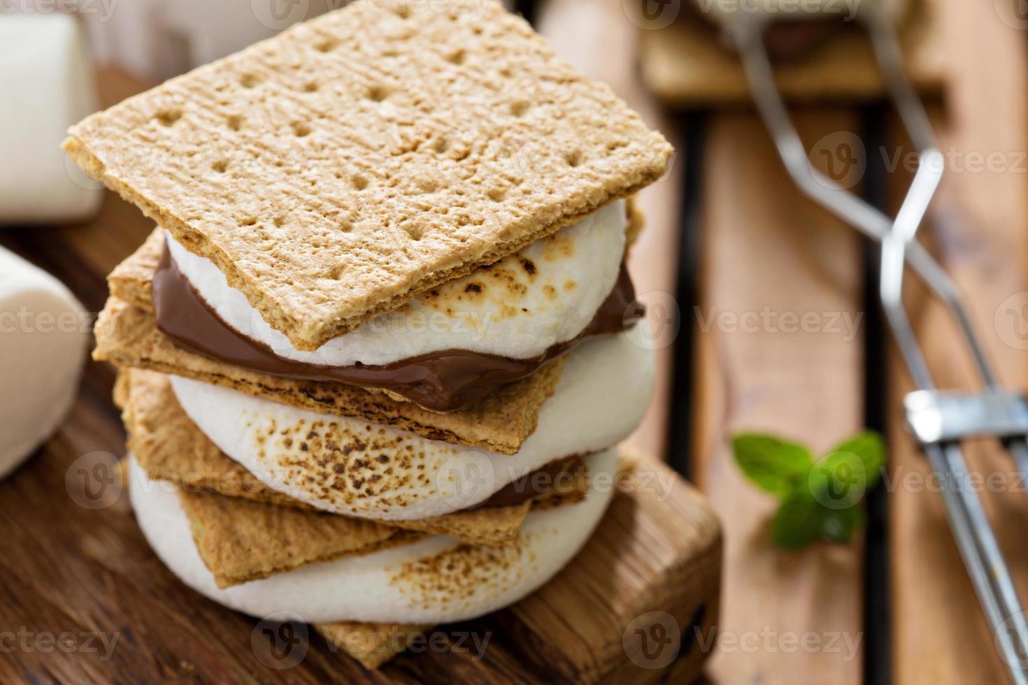 Picnic dessert smores with marshmallows photo