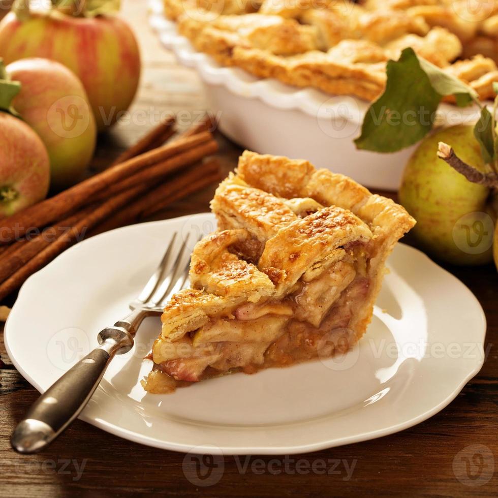 Piece of an apple pie on a plate photo