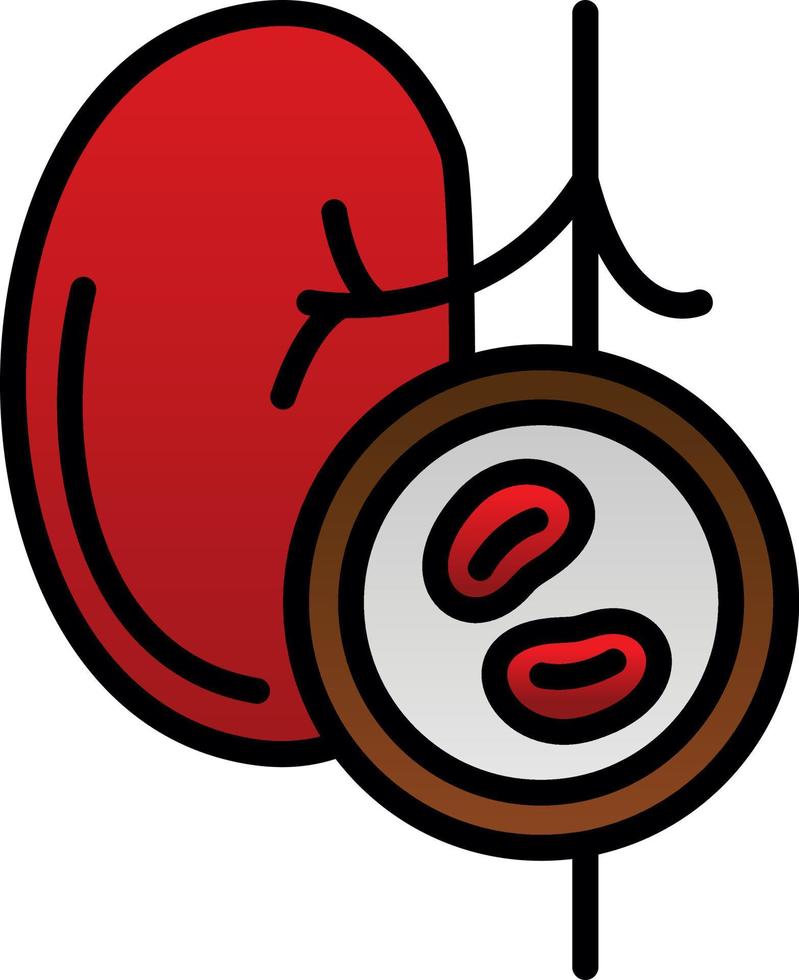 Kidney Checkup Vector Icon Design