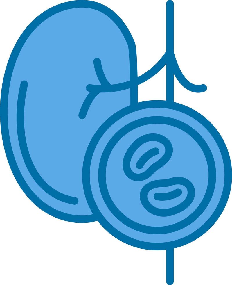 diseño de icono de vector de chequeo de riñón