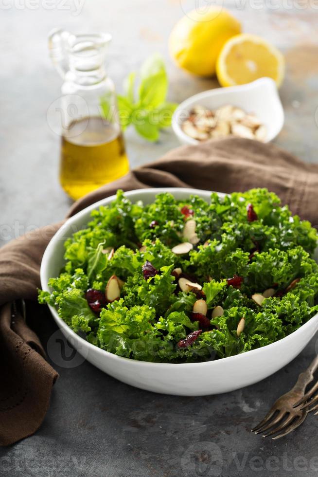 Fresh healthy salad with kale and cranberry photo