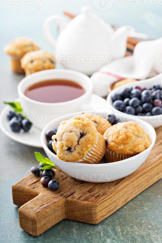 Blueberry muffins in a bowl photo
