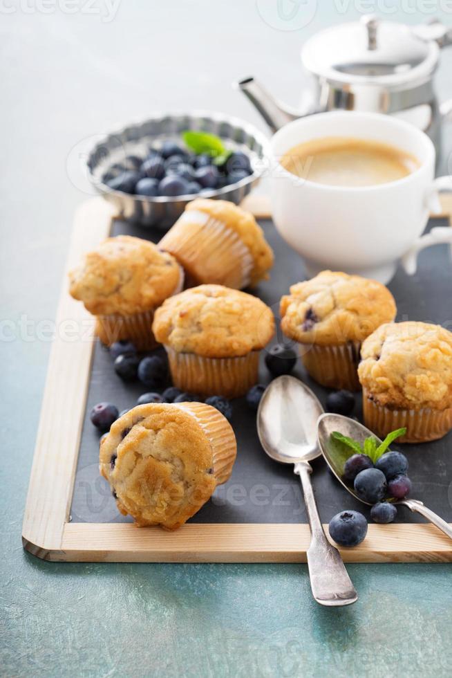 Blueberry muffins on a tray photo