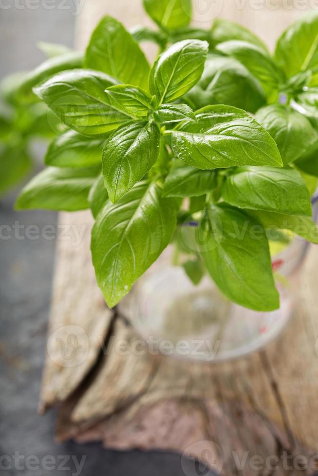 Fresh green basil in a measuring cup 15757822 Stock Photo at Vecteezy