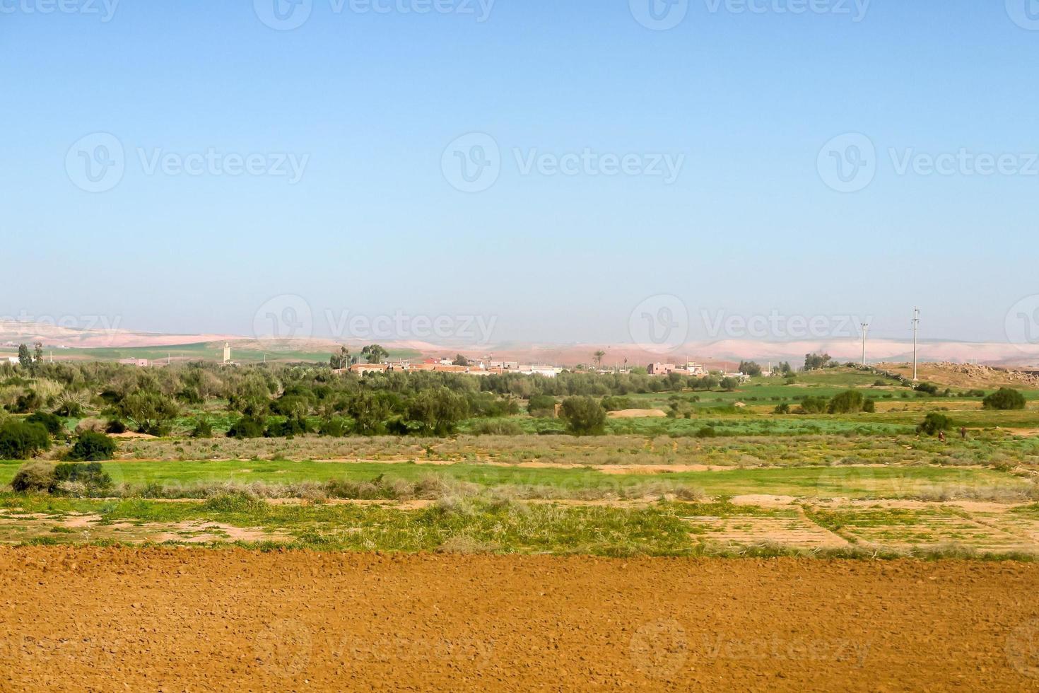 Landscape in summer photo