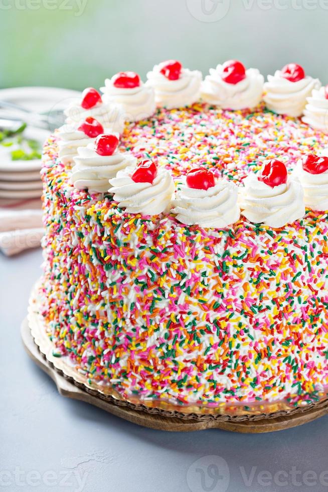 Birthday cake covered in sprinkles photo