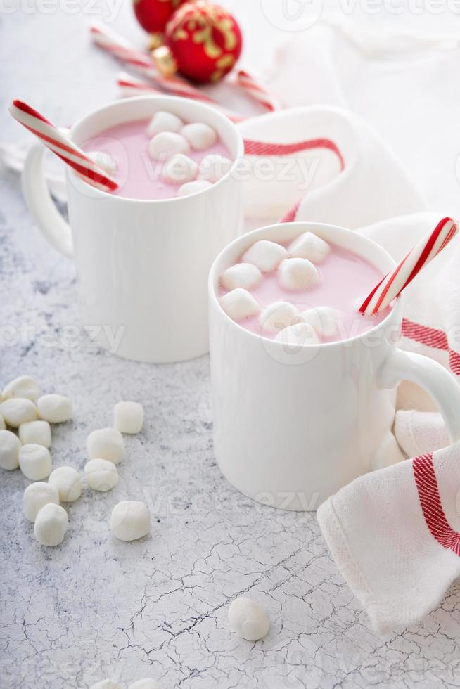 Peppermint hot chocolate with candy canes photo