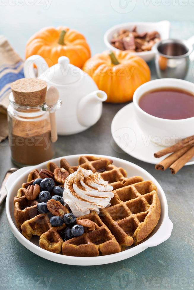 Pumpkin waffles with whipped cream and cinnamon photo