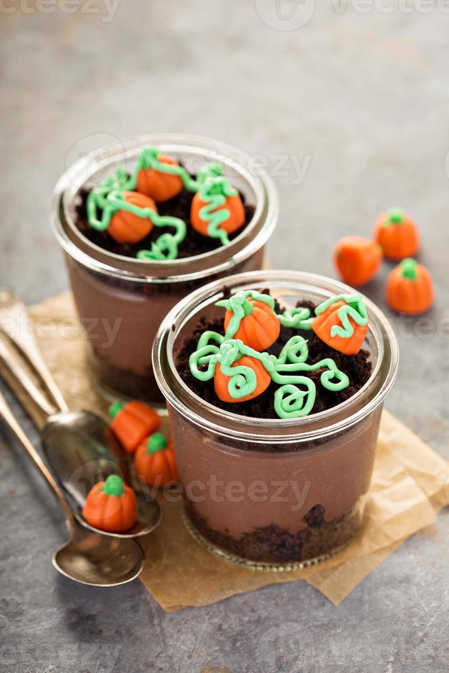 Pumpkin chocolate puddings photo