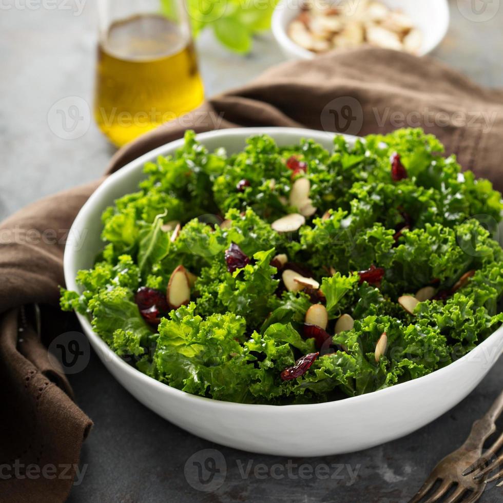 Fresh healthy salad with kale and cranberry photo