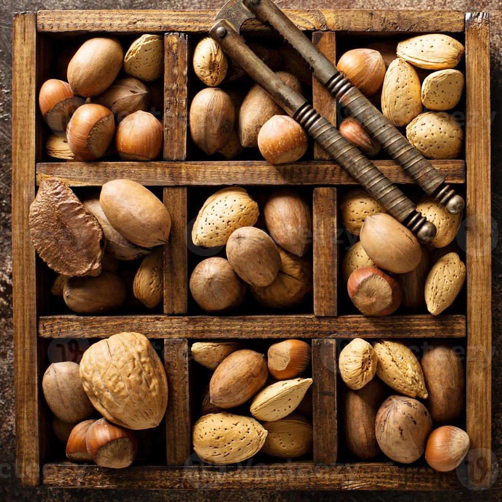 Various nuts in shell photo