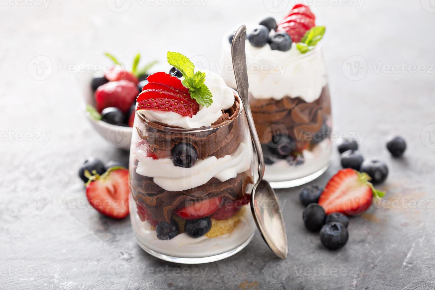 Chocolate pudding layered dessert photo