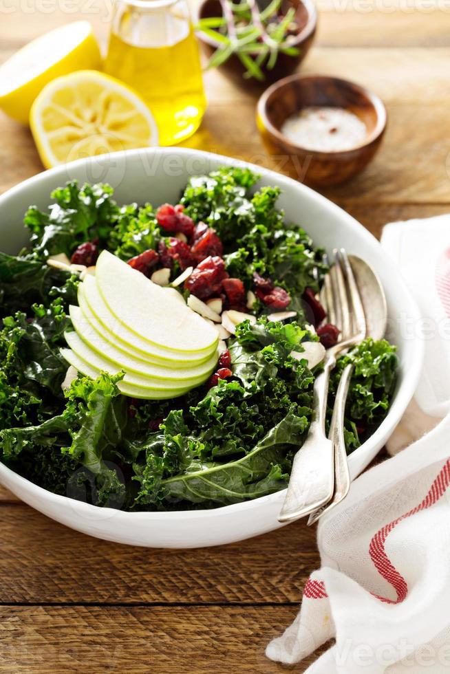 Kale salad with dried cranberry and apple photo