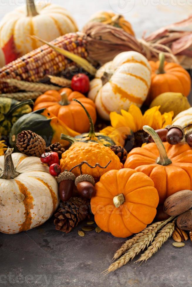 Fall background with pumpkins photo