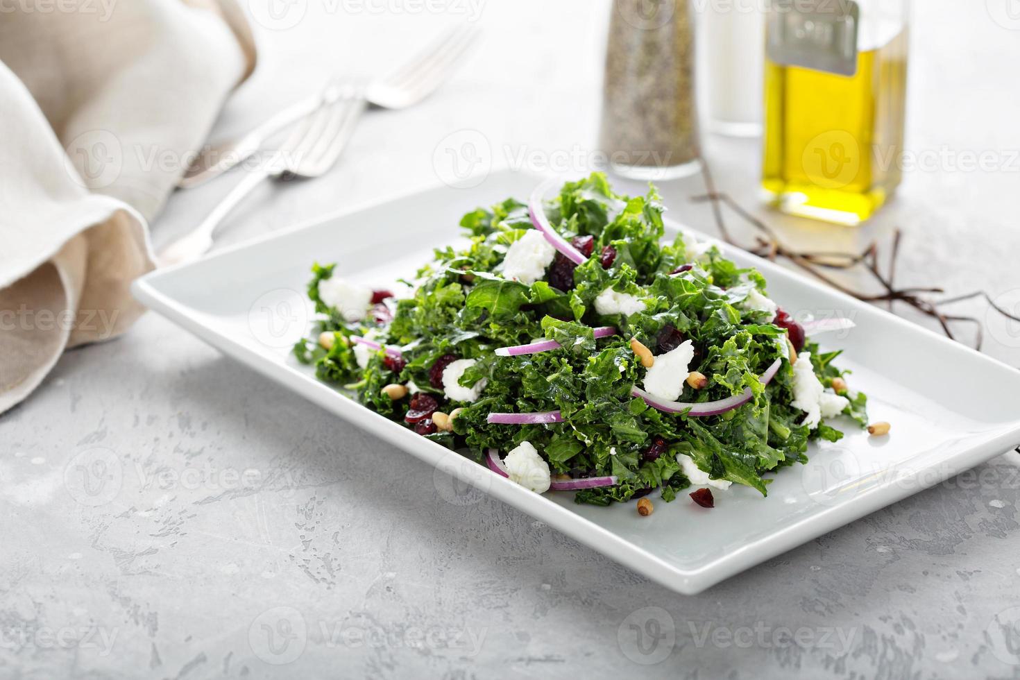 Kale salad with cranberry and feta photo