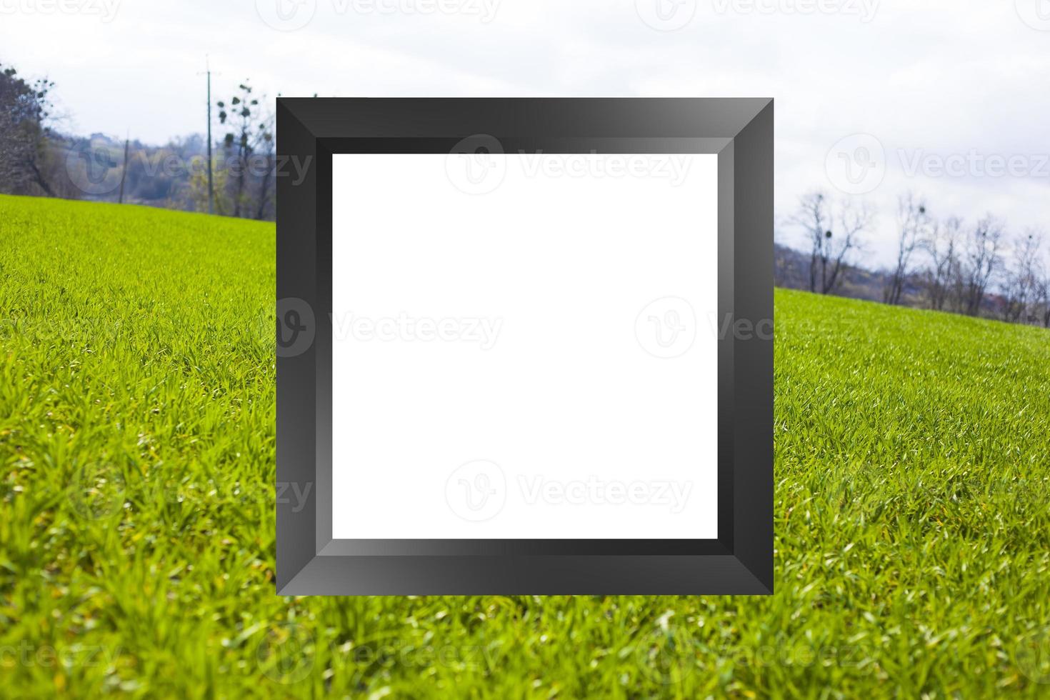 frame with copy space spring mood on green grass background photo