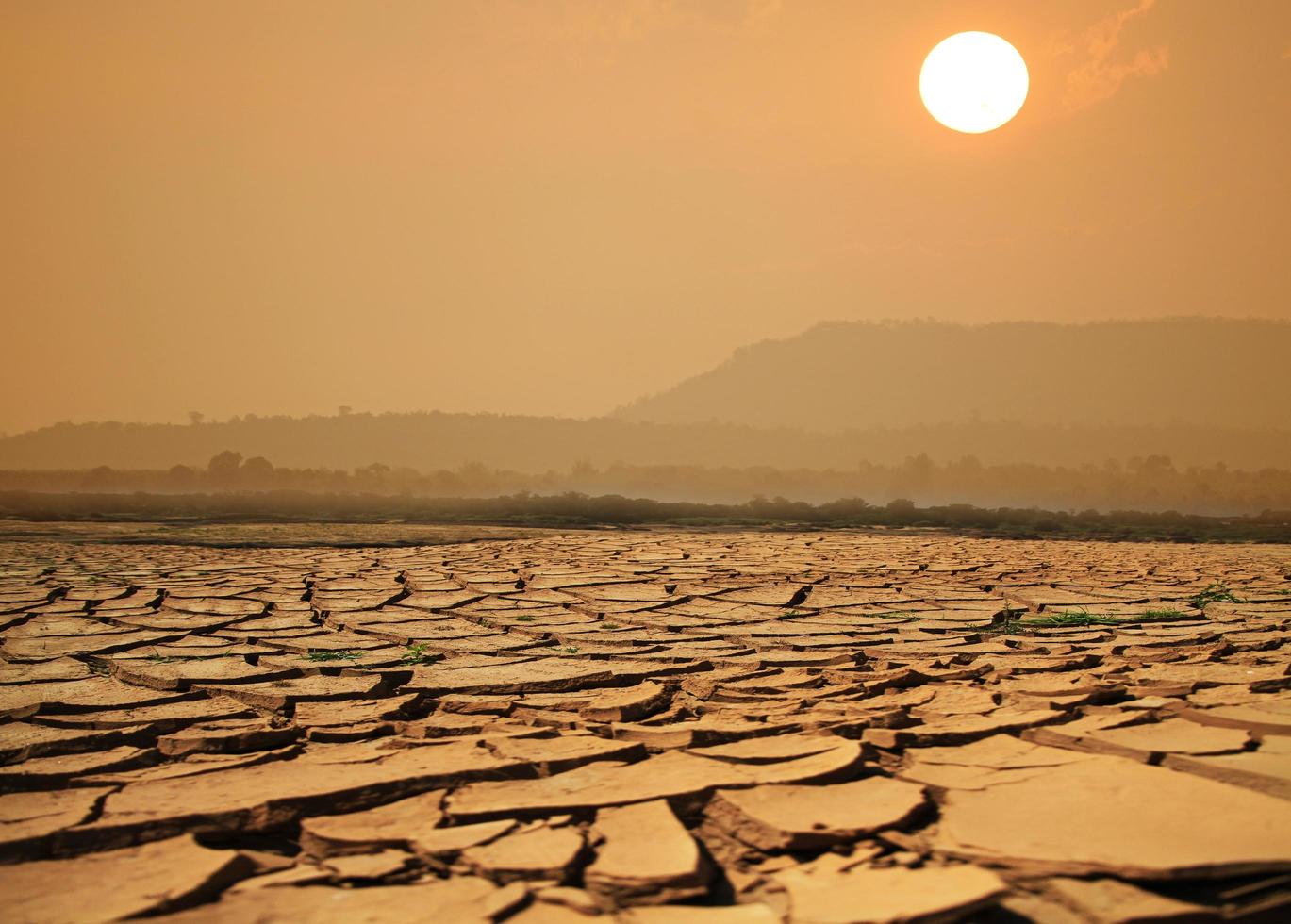Crack soil on dry season, Global worming effect photo