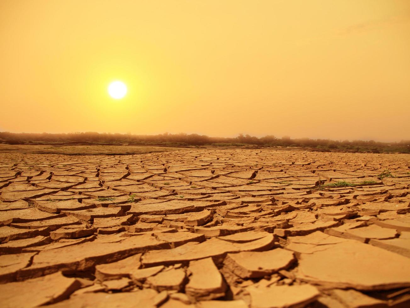 Crack soil on dry season, Global worming effect photo