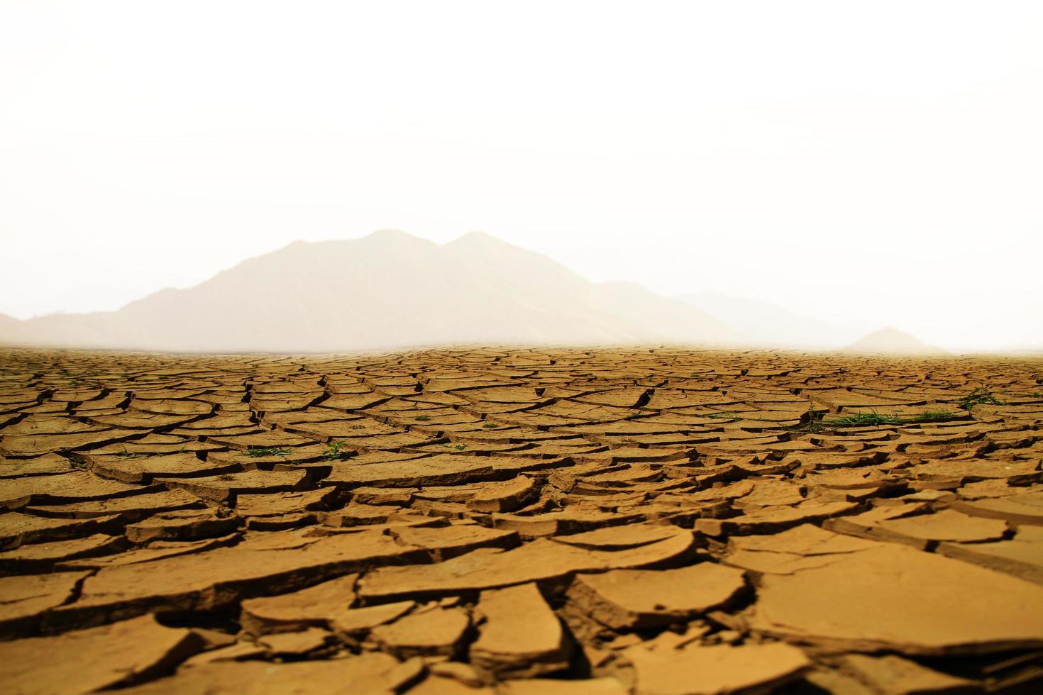 Crack soil on dry season, Global worming effect photo