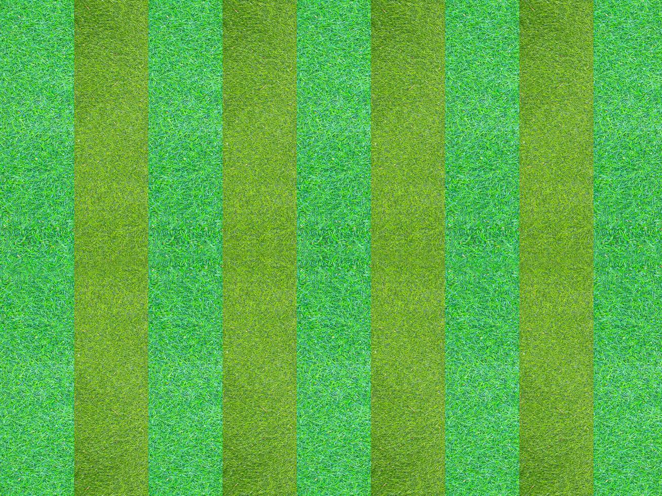 Green grass field sport football photo