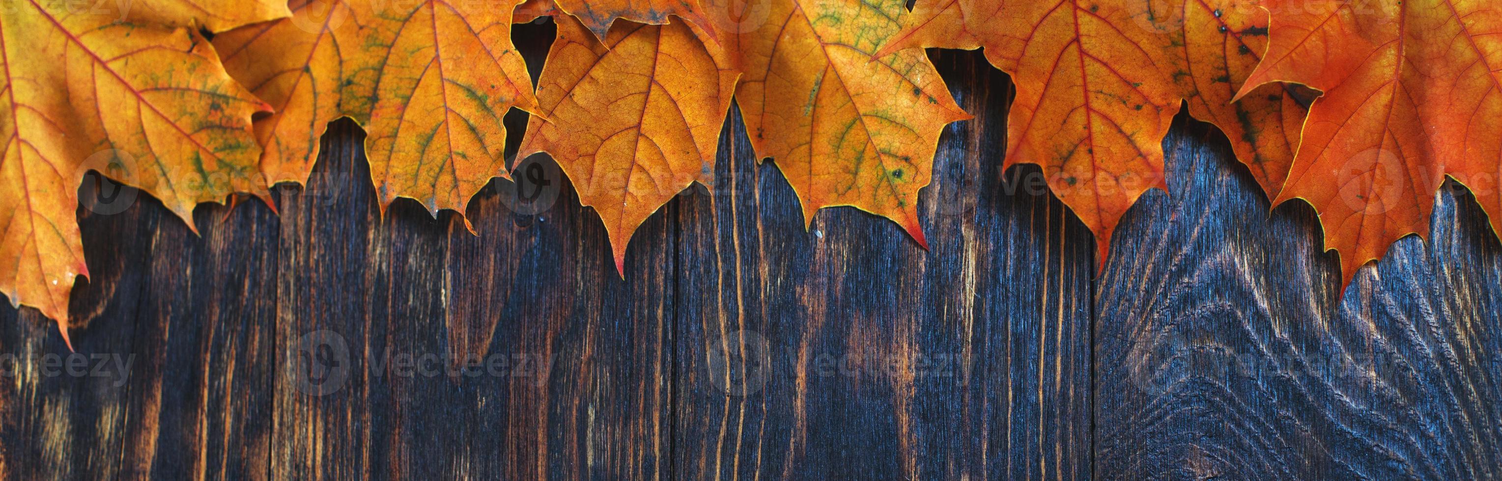 Autumn Leaves over wooden background. Autumn leaves frame. banner photo