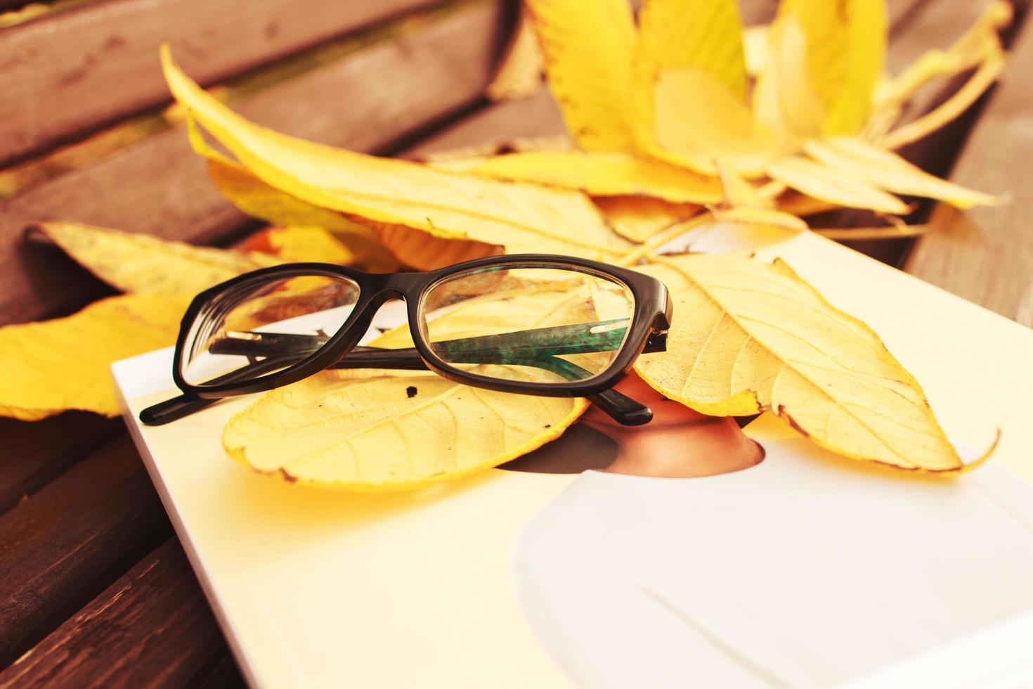 glasses with a magazine on a bench in autumn park photo
