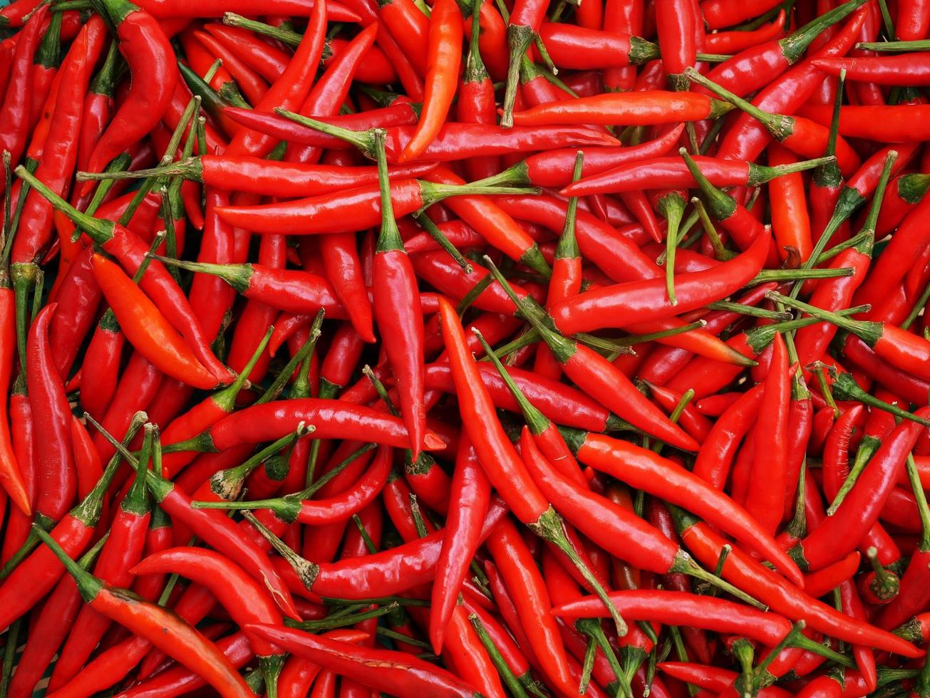 cooking pepper For a good flavor condiment, bright red, vegetarian. photo