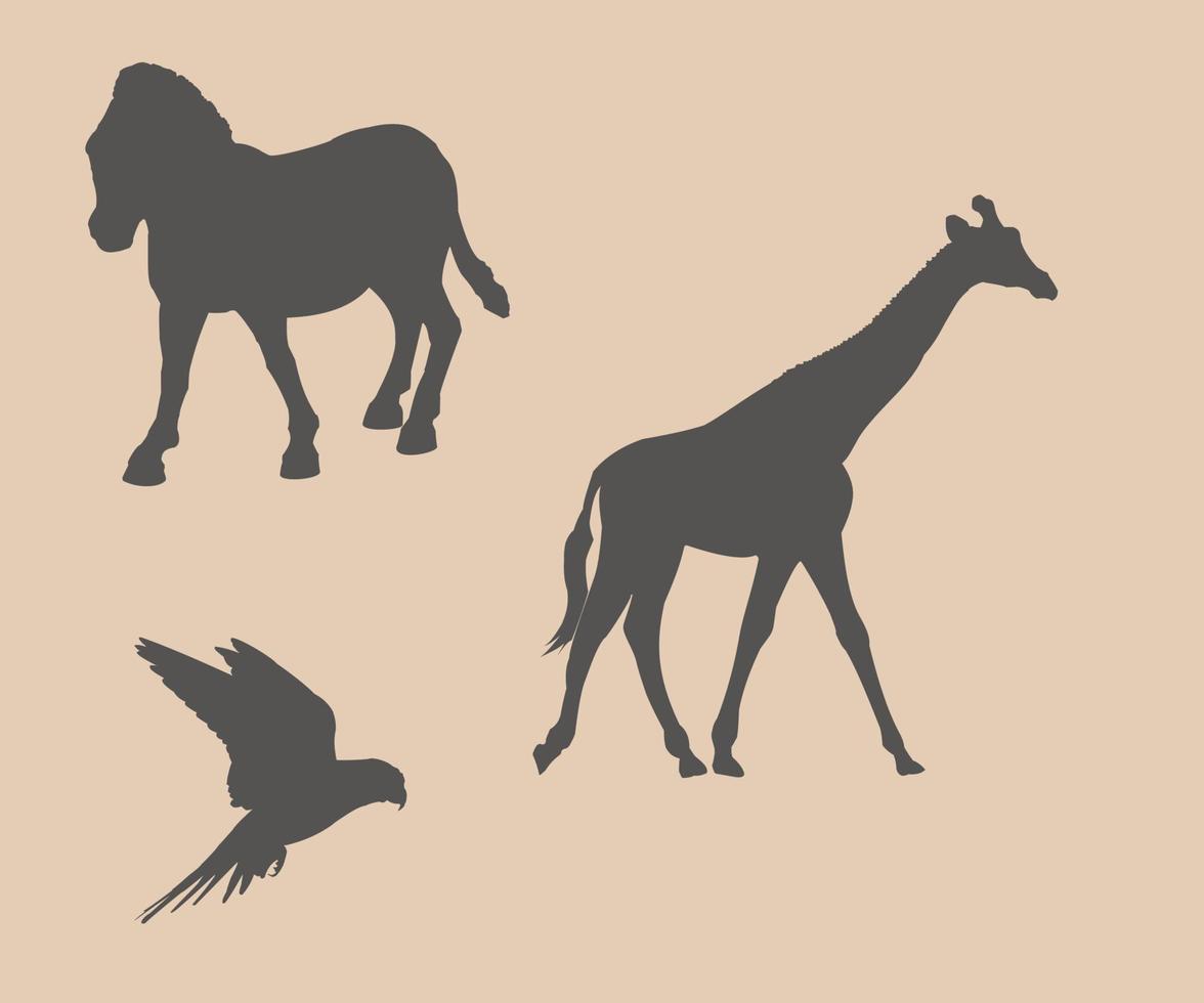 animals illustration. giraffe, zebra, bird illustration vector