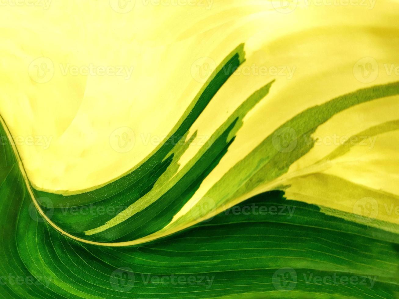 bulge special effect illustration, bokeh, with green-yellow leave background abstract artwork concept. photo