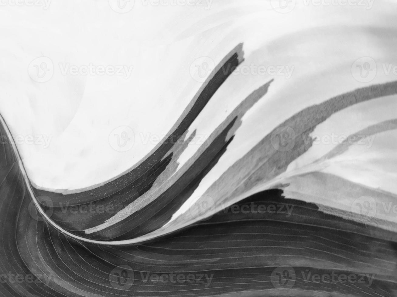 bulge retro special effect illustration, with black-white leave background abstract artwork concept. photo