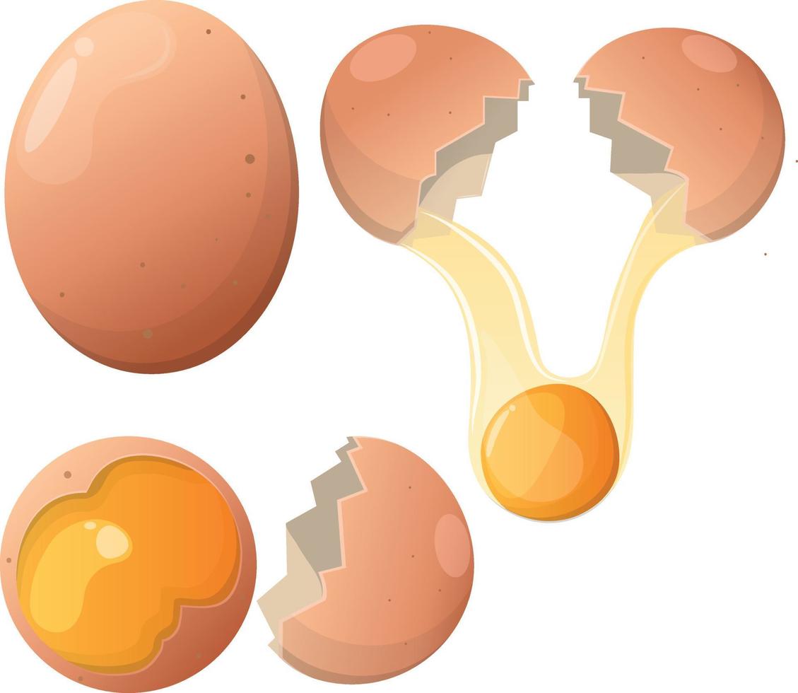 ilustración de dibujos animados de vector de huevo de pollo fresco. dibujos animados de huevos rotos con cáscaras de huevo rotas. medio huevo con yema