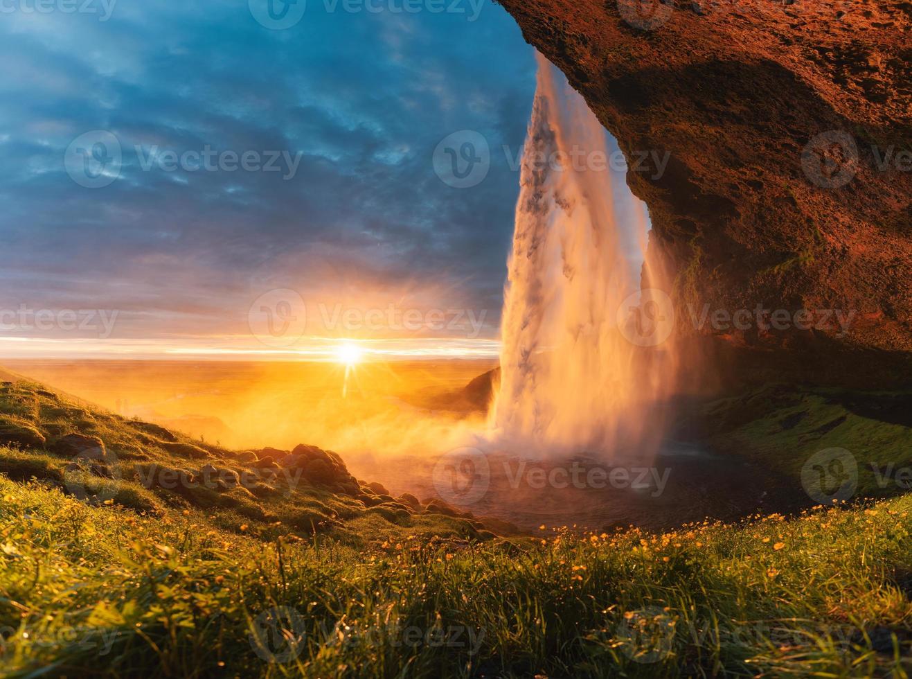 Beautiful Seljalandsfoss waterfall flowing and midnight sunset shining on flower garden in summer at Iceland photo