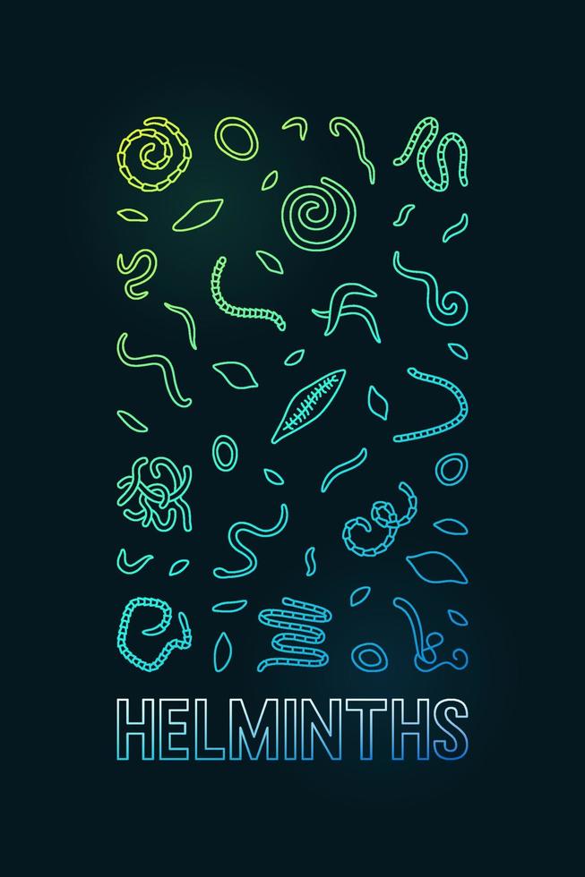 Helminths vector concept outline vertical colorful illustration or Banner