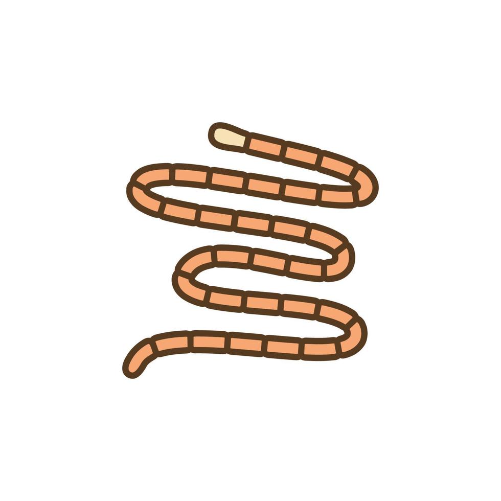 Tapeworm Cestoda vector concept colored icon or symbol