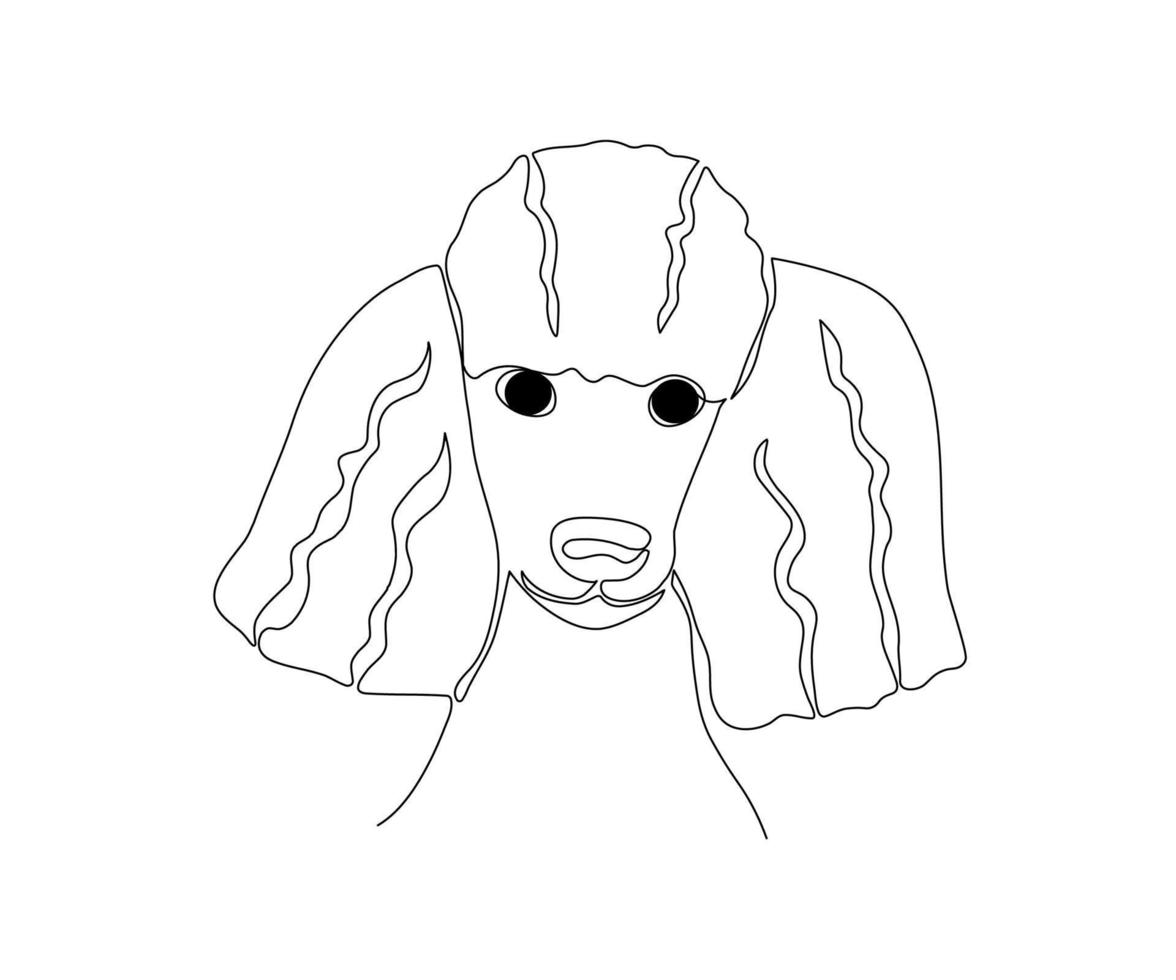 black and white poodle drawn by a monoline, one line art vector