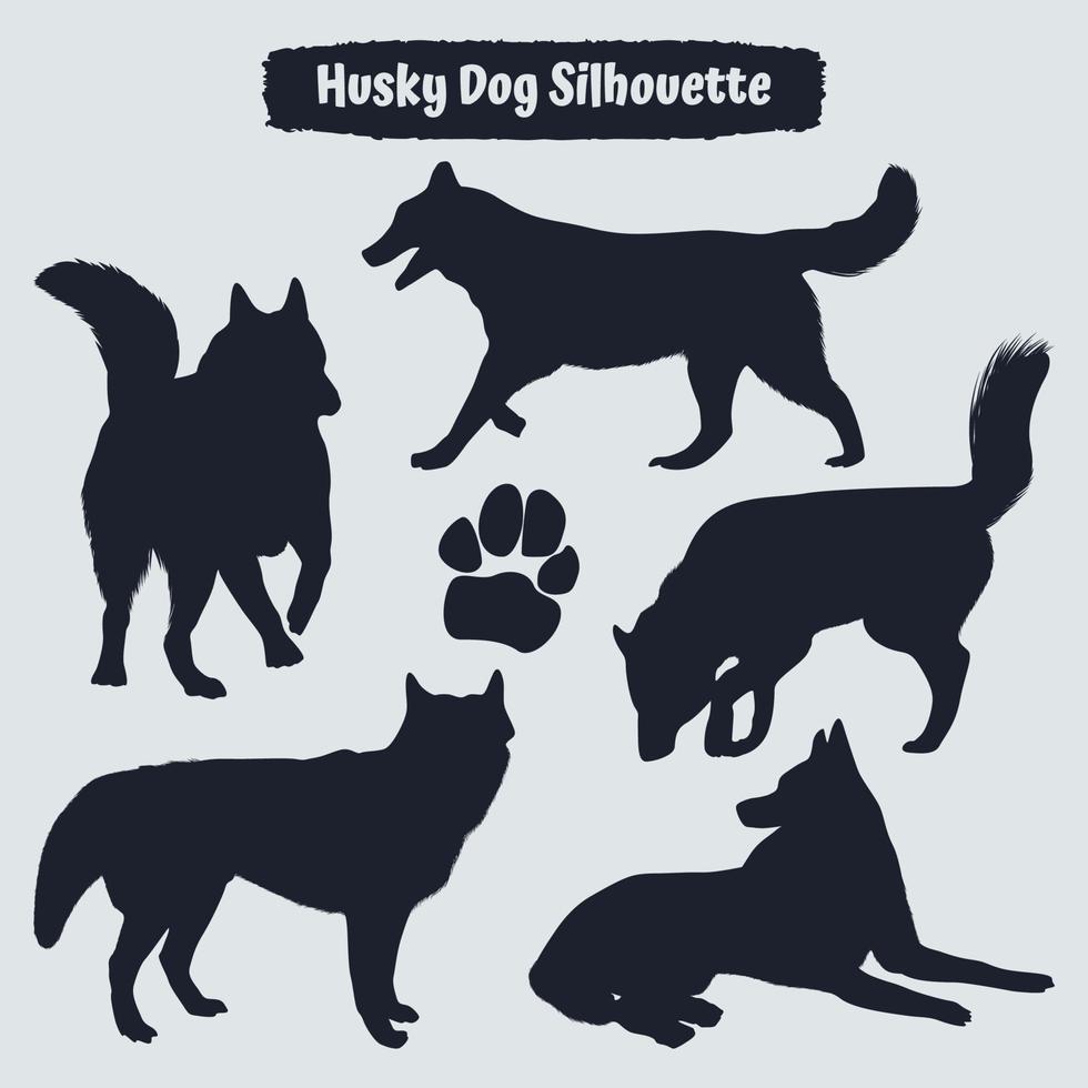 Collection of animal Husky Dog in different positions vector