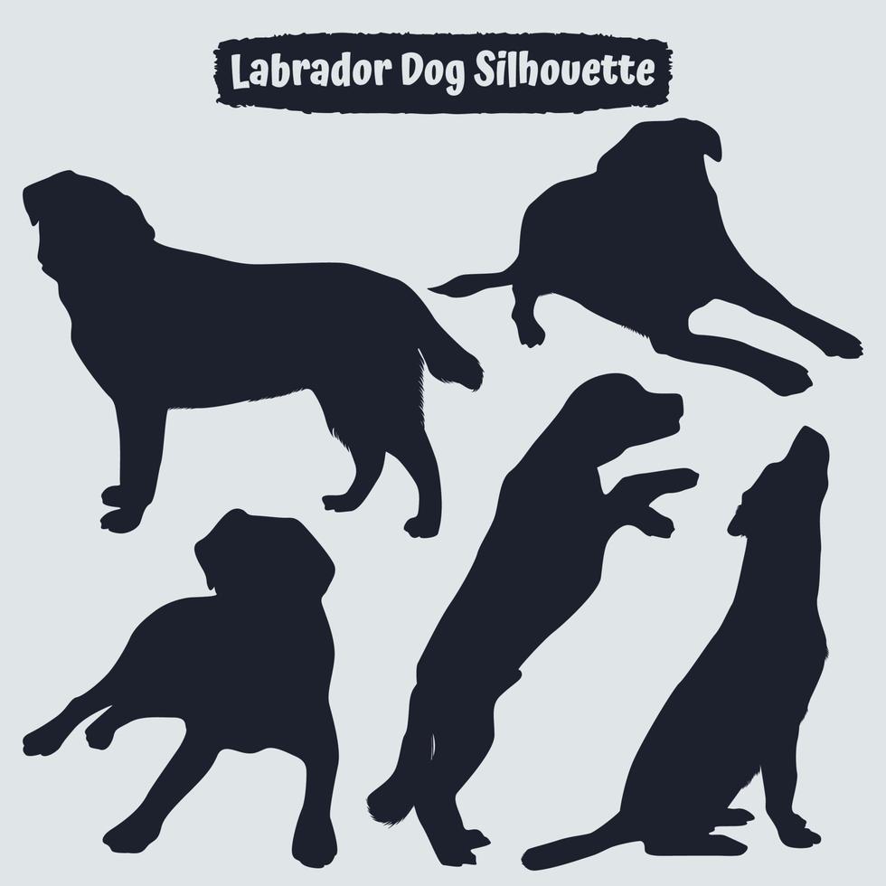 Colección de perro labrador animal en diferentes posiciones. vector