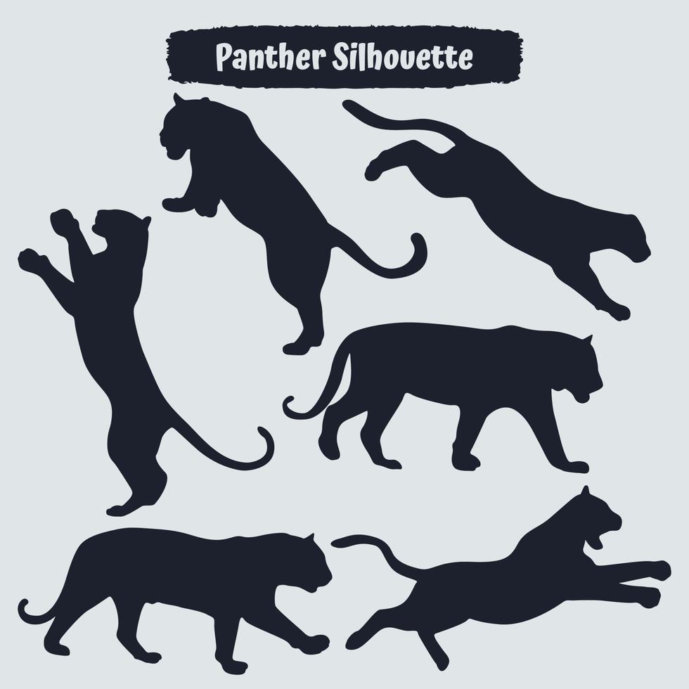 Collection of animal Panther in different positions vector