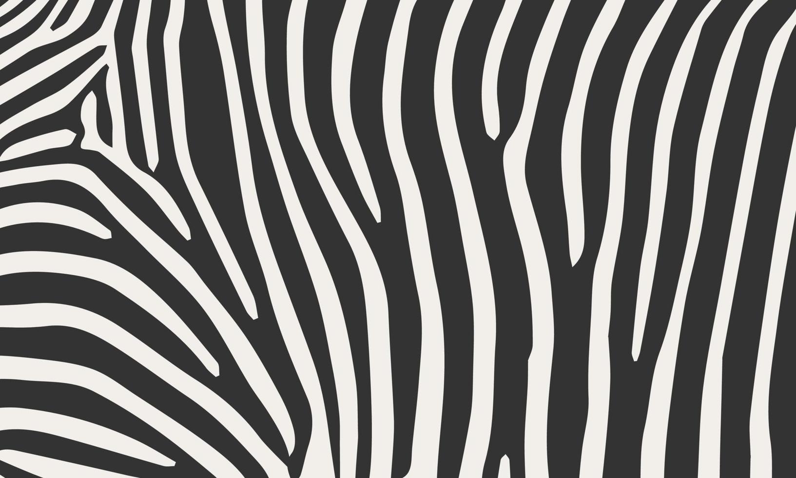 Zebra pattern background vector