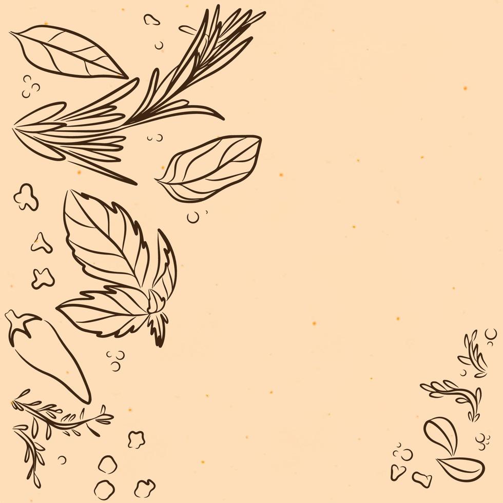 Spices and herbs, background for the menu of restaurants and cafes, outline vector