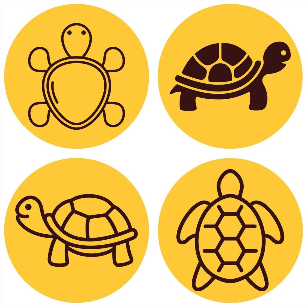 colección de tortuga vector